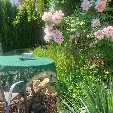 Kreisel Direkt In Apartment