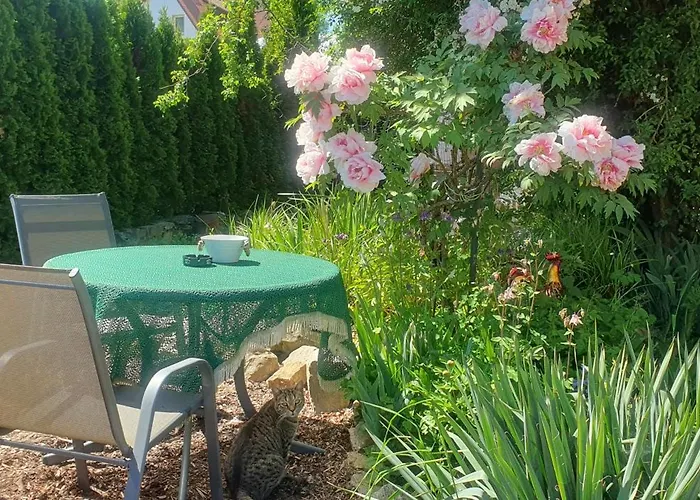 Kreisel Direkt In Apartment