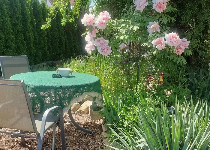 Kreisel Direkt In Bad Kosen